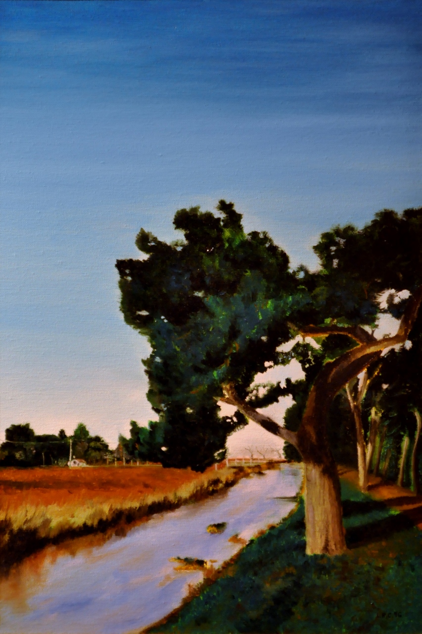 2017-02-24 005 (853x1280)