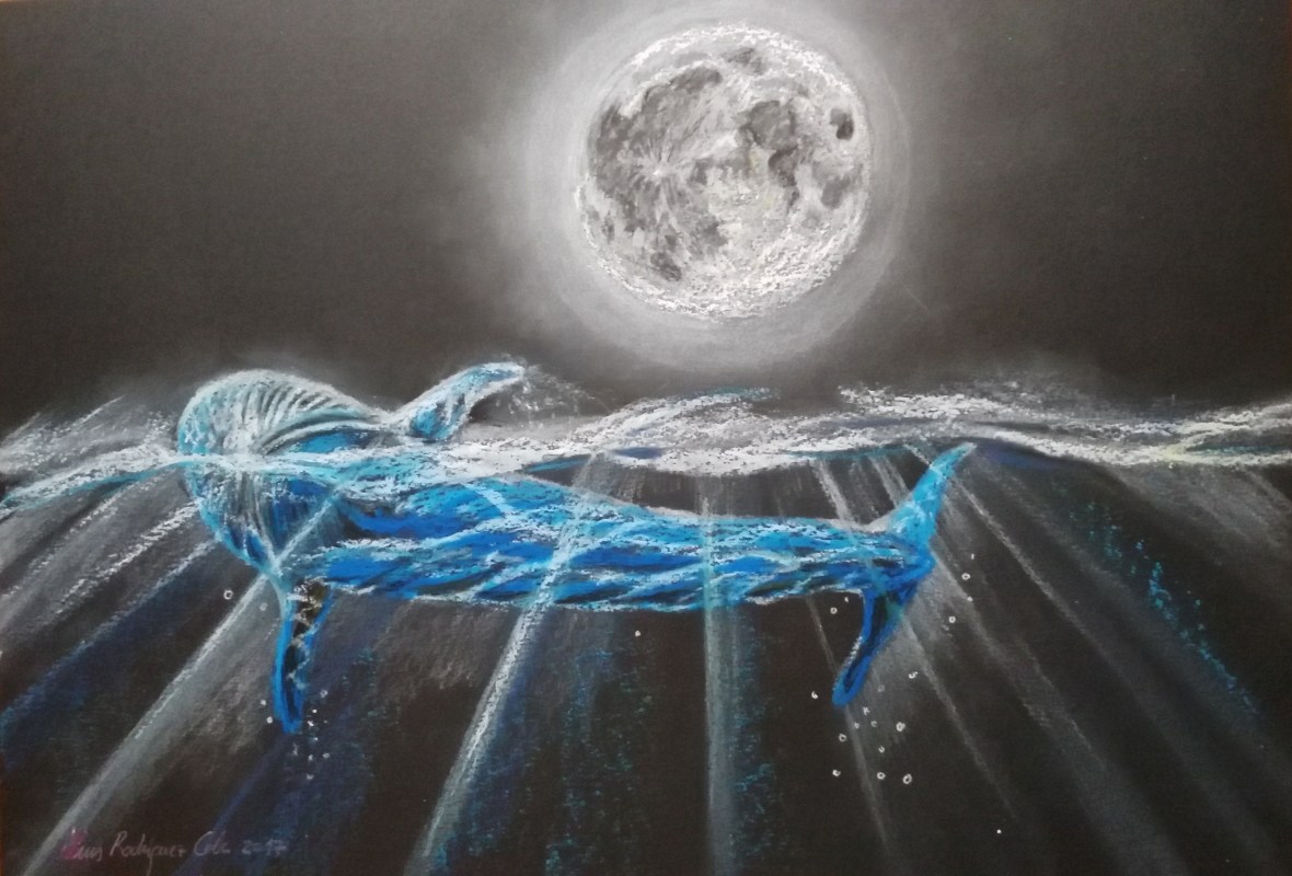 Nadando a la luz de la luna