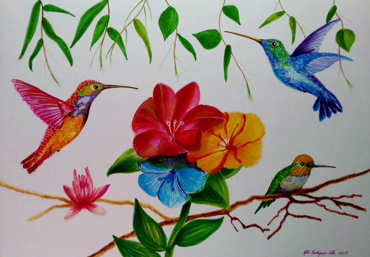 Fantasía de Colibríes