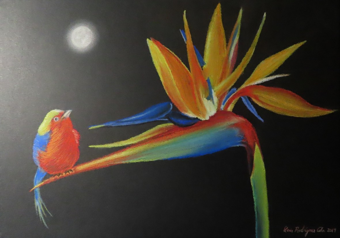 Flor Ave del Paraíso