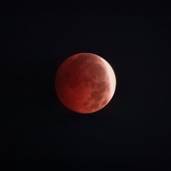 Eclipse parcial de Luna del 28 de agosto de 2026 en su máximo a las 6 h 12' 55" con telescopio Vespera II y 1" de exp.